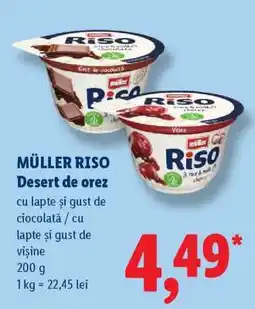 Lidl MÜLLER RISO Desert de orez Ofertă