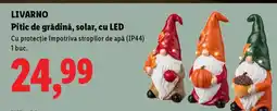 Lidl LIVARNO Pitic de grădină, solar, cu LED Ofertă