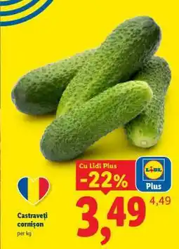 Lidl Castraveți cornișon Ofertă