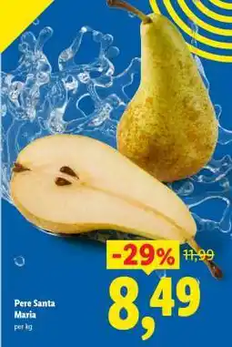 Lidl Pere Santa Maria Ofertă