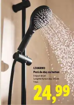 Lidl Livarno Pară de duș, cu furtun Ofertă