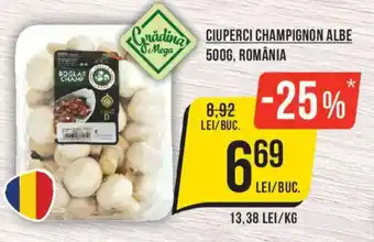 Carădina Mega ciuperci champignon albe