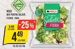 Mega Image Mega mix pentru salată, feeria Ofertă