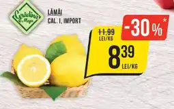Mega Image Grădina Mega Lămâi Cal. I, Import Ofertă