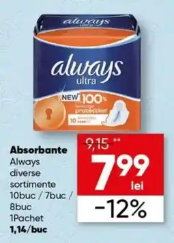 PROFI Always absorbante Ofertă