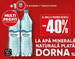PROFI Dorna apa minerala naturala plată Ofertă
