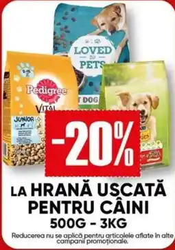 PROFI Pedigree hrană uscată pentru câini Ofertă