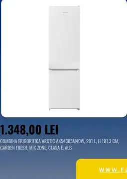 Flanco Arctic combina frigorifica Ofertă