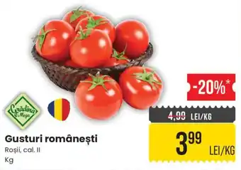 Grădina Mega Gusturi românești