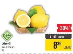 Mega Image Grădina Mega Lămâi Ofertă