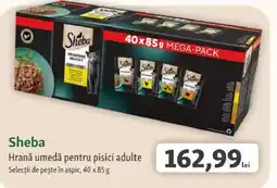 Fressnapf Sheba Hrană umedă pentru pisici adulte Ofertă