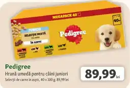 Fressnapf Pedigree Hrană umedă pentru câini juniori Ofertă
