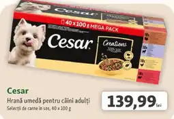 Fressnapf Cesar hrană umedă pentru câini adulți Ofertă