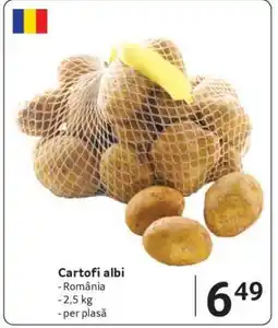 Selgros Cartofi albi Ofertă