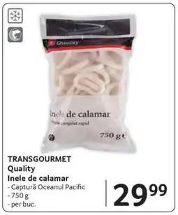 Selgros Inele de calamar Ofertă