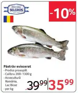 Selgros Păstrăv eviscerat Ofertă