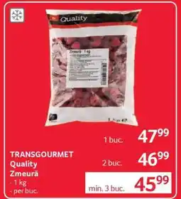 Selgros TRANSGOURMET Quality Zmeură Ofertă