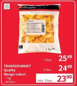 Selgros TRANSGOURMET Quality Mango cuburi Ofertă