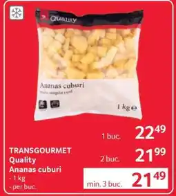 Selgros TRANSGOURMET Quality Ananas cuburi Ofertă
