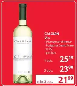 Selgros CALOIAN Vin Ofertă