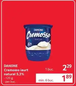 Selgros DANONE Cremoso iaurt natural 5,3% Ofertă