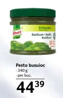 Selgros Pesto busuioc Ofertă