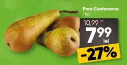 PROFI Pere Conference Ofertă