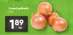 PROFI Ceapă galbenă Ofertă