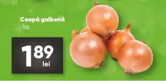 PROFI Ceapă galbenă Ofertă