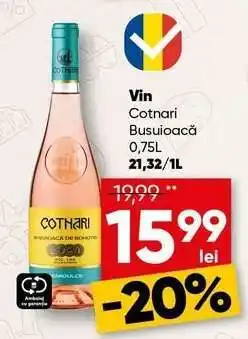 PROFI Vin Cotnari Busuioacă Ofertă
