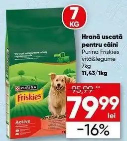 PROFI Purina Friskies vită & legume 7kg Ofertă