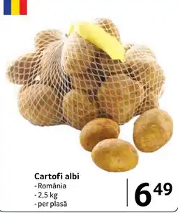 Selgros Cartofi albi Ofertă