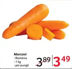 Selgros Morcovi Ofertă
