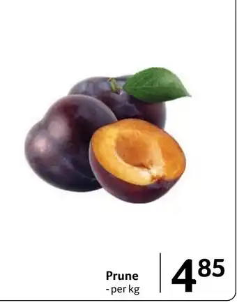 Prune