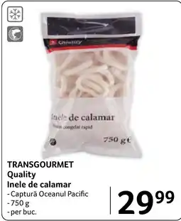 Selgros Transgourmet Quality Inele de calamar Ofertă