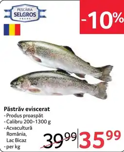 Selgros Pescaria Selgros Păstrăv eviscerat Ofertă