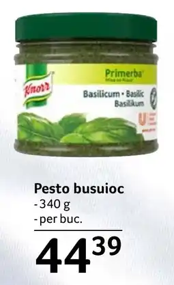 Selgros Knorr Pesto busuioc Ofertă
