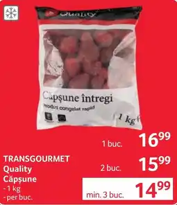 Selgros Transgourmet Quality Căpșune Ofertă