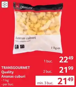 Selgros Transgourmet Quality Ananas cuburi Ofertă