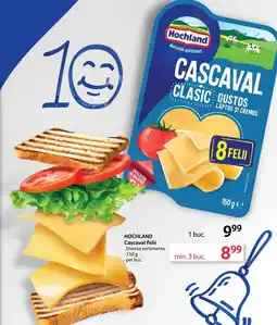 Selgros Hochland cascaval felii Ofertă