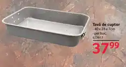Selgros Tavă de cuptor Ofertă