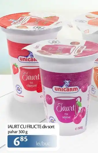 Unicarm Unicarm iaurt cu fructe Ofertă