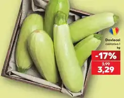 Kaufland Dovlecei Ofertă