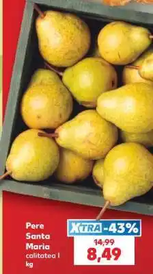 Kaufland Pere Santa Maria Ofertă