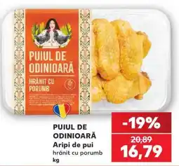 Kaufland PUIUL DE ODINIOARĂ Ofertă