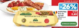 Kaufland AVIPUTNA Ouă din ogradă categoria M 10 buc Ofertă