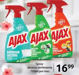Selgros ajax spray Ofertă