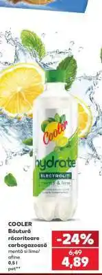 Kaufland COOLER Ofertă