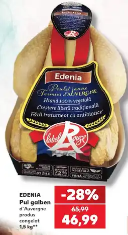 Kaufland Edenia Pui galben d'Auvergne Ofertă