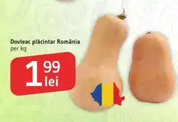 Supeco Dovleac plăcintar România Ofertă
